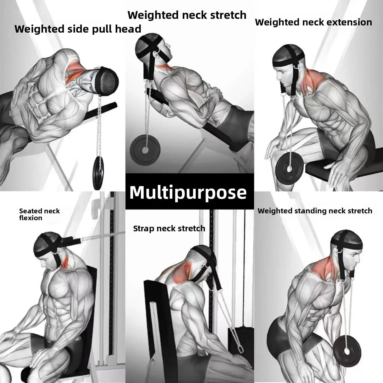 Head Neck Training Harness Adjustable Nylon Strap Weight Bearing Chain Strength Training Gym Fitness Weight Lifting Boxing MMA