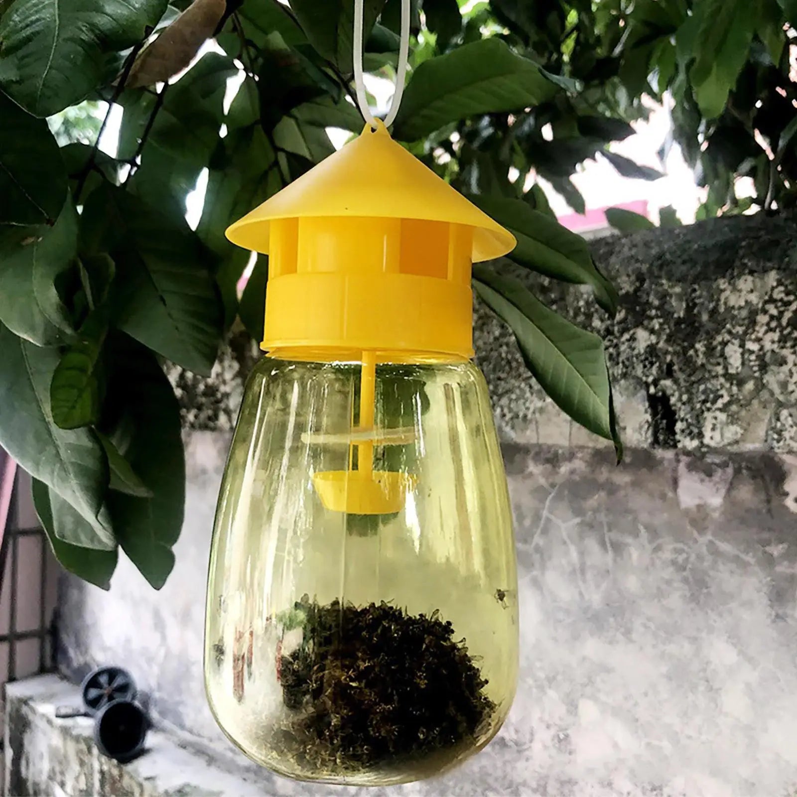 Plastic Fruit Fly Trap Killer Drosophila Trap Anti Fly Fruit Fly Killer Catcher Orchard Insect Trap Pest Control Fly Bee Trap