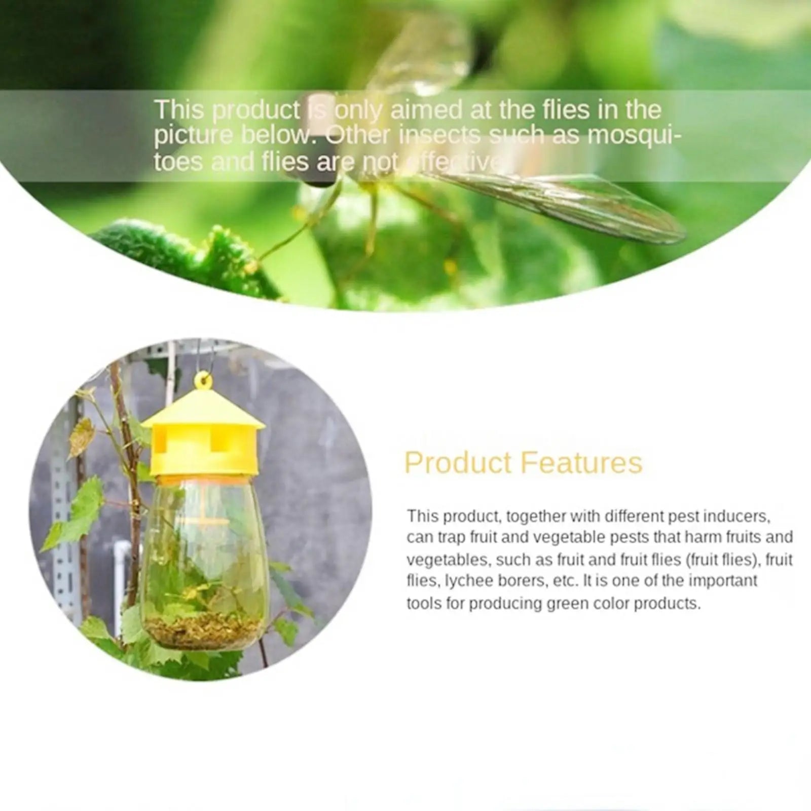 Plastic Fruit Fly Trap Killer Drosophila Trap Anti Fly Fruit Fly Killer Catcher Orchard Insect Trap Pest Control Fly Bee Trap