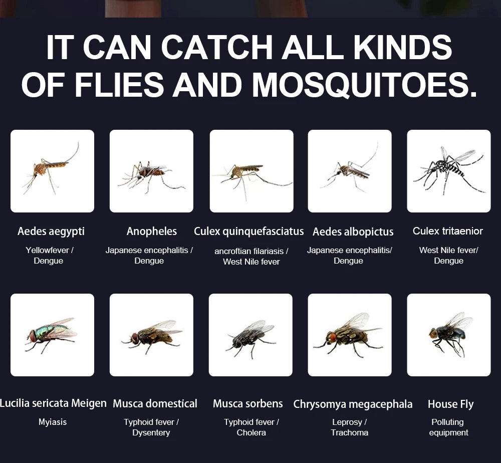 1 PC Electric Fly Bug Mosquito Insect Killer LED Light Trap Control Lamp Small Pest with USB Power Supply and Adapter